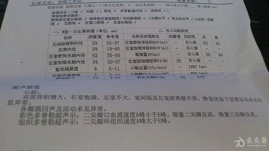 hth华体官方下载app