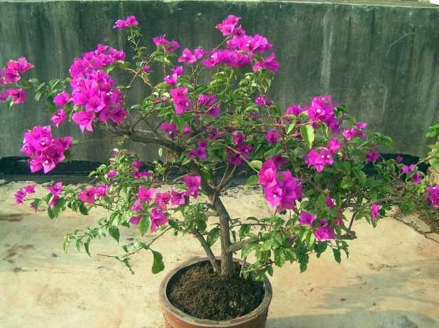 hth·华体:
青岛交通广播897广告怎样投放才有效?青岛交通广播广告部(图3) hth·华体