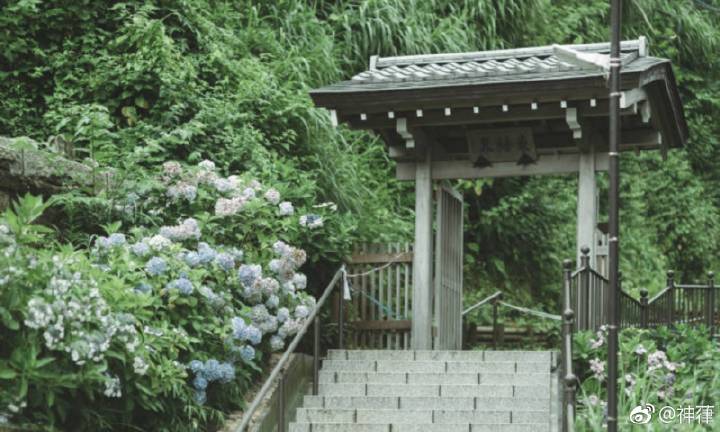 hth华体官方下载app