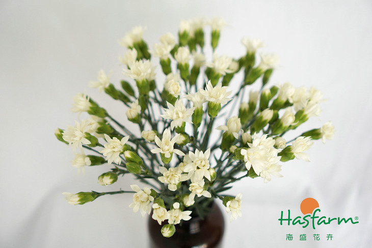 hth华体官方下载app