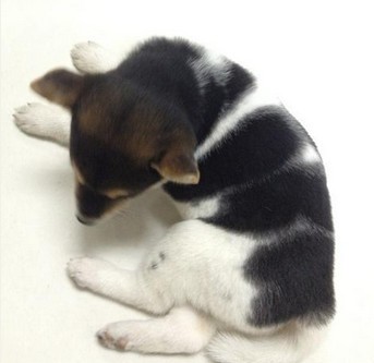 hth华体官方下载app