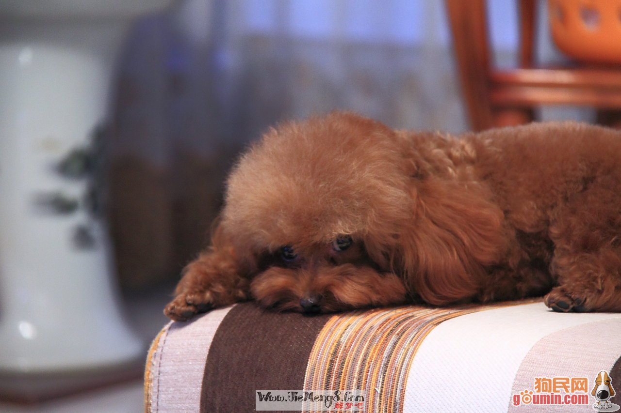 hth华体官方下载app