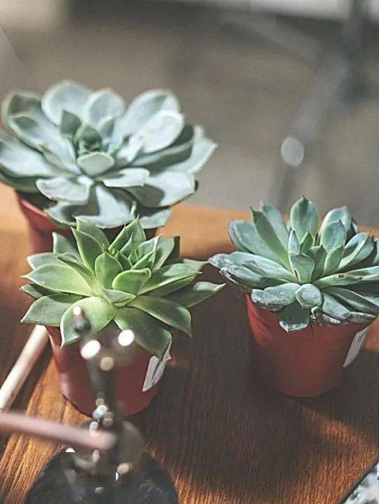 hth·华体-
院校剖析(图5)