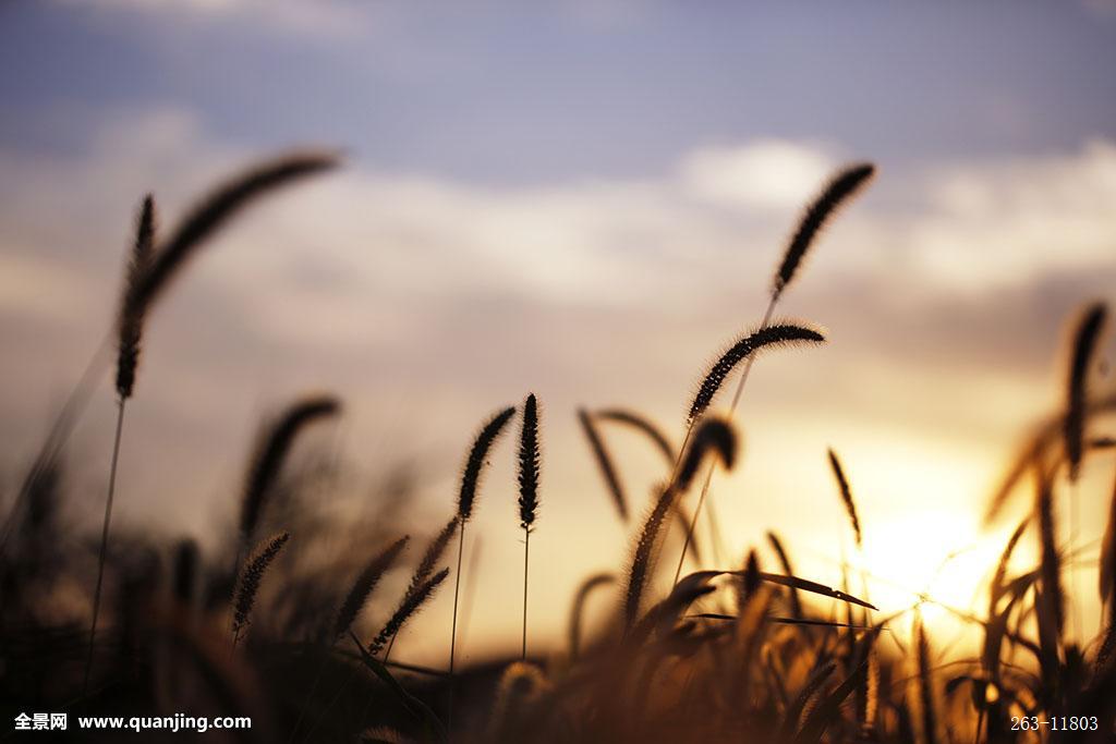 hth华体官方下载app