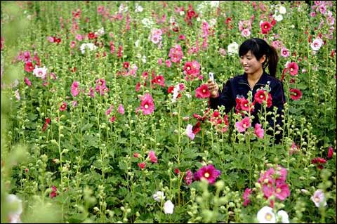 hth华体官方下载app