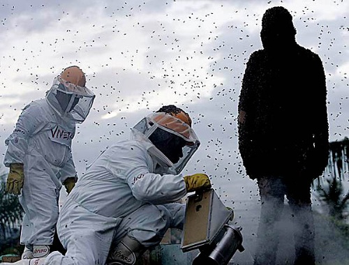 hth华体官方下载app