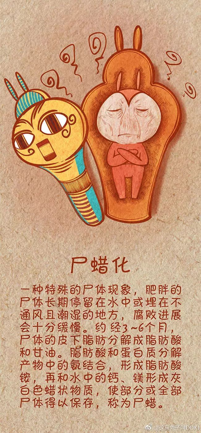 专业形象墙设计 公司门面有逼格-hth华体(图1) hth华体官方下载app