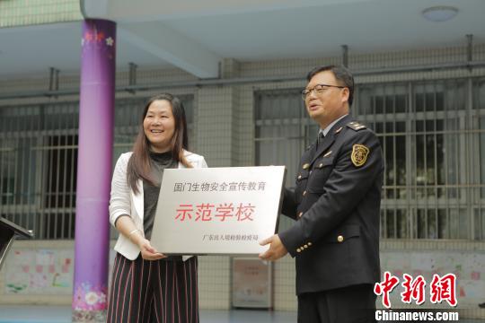 追求精致探寻成长,豌豆公主诠释跨境电商“新物种”进化论_hth华体官方下载app(图2) hth华体官方下载app