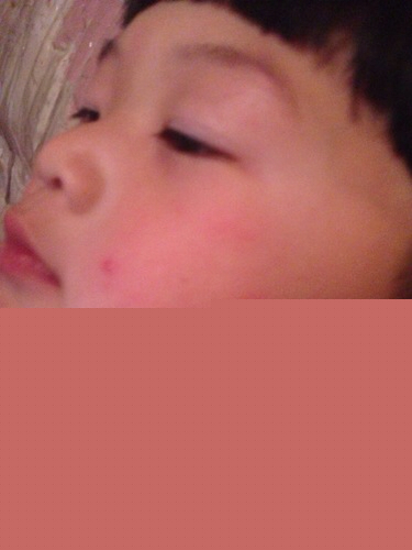 hth华体官方下载app