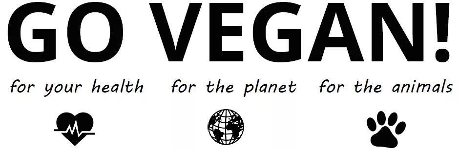 hth华体官方下载app:任学安:好就说出来(图1) hth·华体