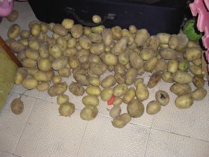 对我国当前预算会计制度的思考_hth·华体(图1) hth华体官方下载app